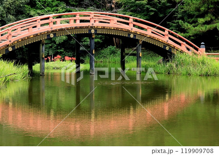 金沢文庫称名寺の彼岸花 119909708