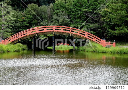金沢文庫称名寺の彼岸花 119909712