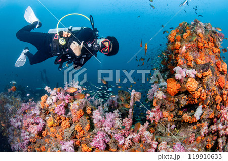 Scuba diver diving through colorful soft coral reef at King Cruiser wreck ship in Phuket, Thailand. 119910633