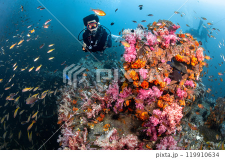Scuba diver diving through colorful soft coral reef at King Cruiser wreck ship in Phuket, Thailand. Scuba diver diving through colorful soft coral reef at King Cruiser wreck ship in Phuket, Thailand. 119910634