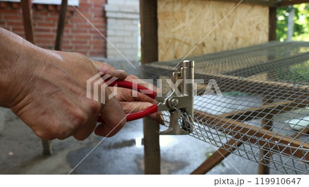 male hands holding red handled construction pliers and clamping metal mesh to make a rim of the base of a quail cage, working with a clamp in the process of creating an agricultural cage male hands holding red handled construction pliers and clamping metal mesh to make a rim of the base of a quail cage, working with a clamp in the process of creating an agricultural cage 119910647