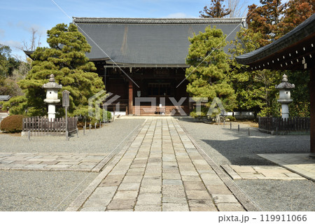 廣隆寺　上宮王院太子殿へと続く参道(京都市右京区) 119911066