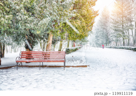 Astonishing landscape with snow-covered Christmas trees in the city park. Astonishing landscape with snow-covered Christmas trees in the city park. 119911119