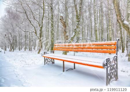 Amazing view of park bench and trees covered by heavy snow Amazing view of park bench and trees covered by heavy snow 119911120