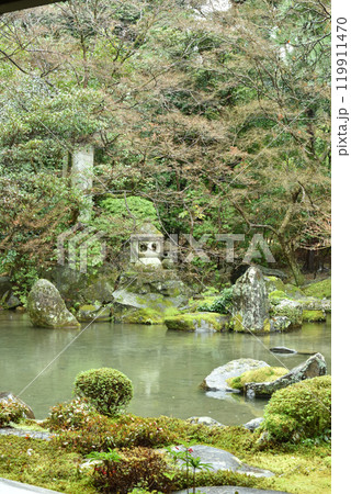 雨の洛北蓮華寺　庭園(京都市左京区) 119911470