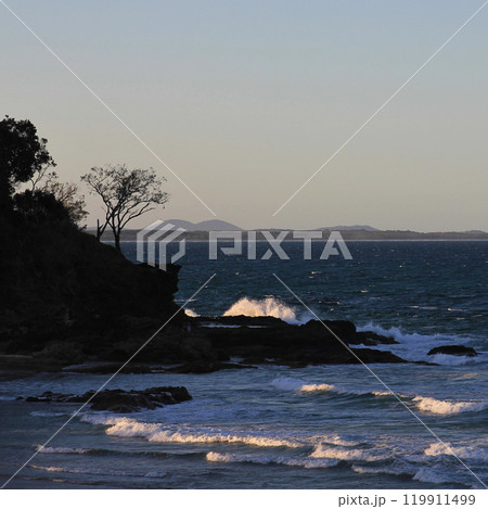 Waves and tree at sunset in Port Macquarie, Australia. 119911499