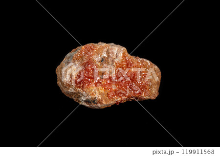 Macro mineral stone Vanadinite on a black background 119911568
