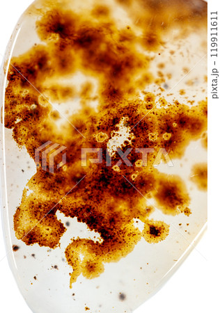 macro mineral stone Agata muschiata on a white background 119911611