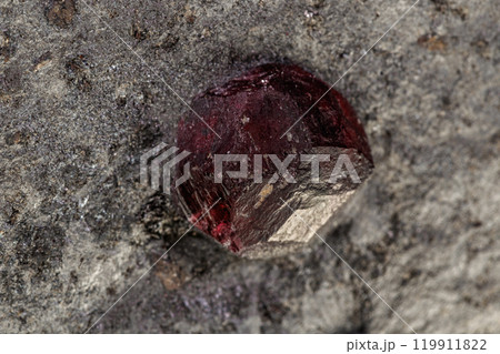 Macro mineral stone Garnet in rock on a white background 119911822