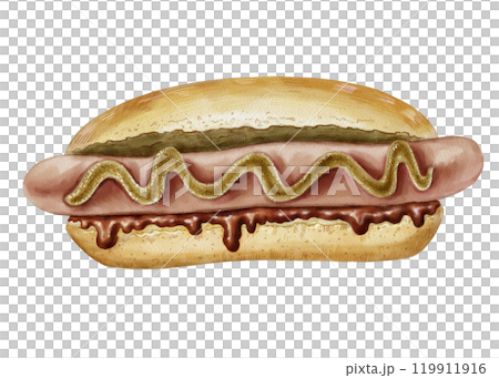 Hot dog with mustard and ketchup. Fast food color illustration. Realistic image for menu design, poster, brochure, website. Classic hand drawn hot dog. For restaurant, snack bar, pizzeria, street food Hot dog with mustard and ketchup. Fast food color illustration. Realistic image for menu design, poster, brochure, website. Classic hand drawn hot dog. For restaurant, snack bar, pizzeria, street food 119911916