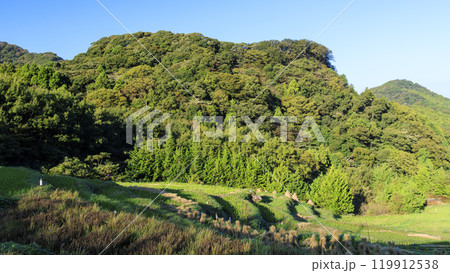 収穫の終わった富士山が見えることで有名な石部の棚田 119912538