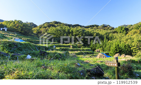 収穫の終わった富士山が見えることで有名な石部の棚田 収穫の終わった富士山が見えることで有名な石部の棚田 119912539