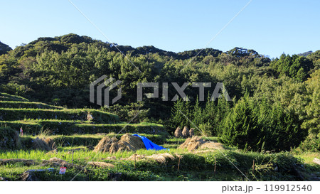 収穫の終わった富士山が見えることで有名な石部の棚田 119912540