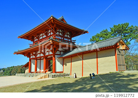 宮城県　多賀城跡　復元された南門　初公開 119912772