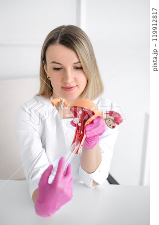 A female gynecologist's visit with an anatomical model of the uterus and a medical gynecological Speculum in hands 119912817