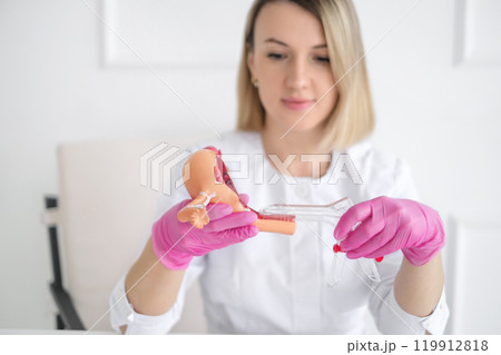 A gynecologist with a plastic medical Speculum shows the examination process on an anatomical model of the uterus. Close-up 119912818