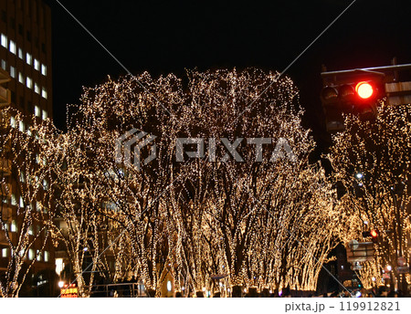 杜の都仙台　SENDAI光のページェント　20 119912821