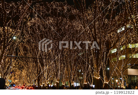 杜の都仙台　SENDAI光のページェント　20 119912822