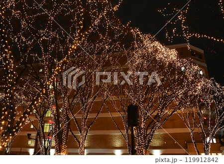 杜の都仙台　SENDAI光のページェント　2023年 119912842