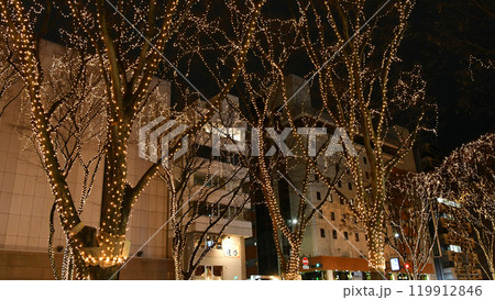 杜の都仙台 SENDAI光のページェント 2023年 杜の都仙台 SENDAI光のページェント 2023年 119912846