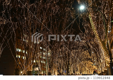 杜の都仙台 SENDAI光のページェント 2023年 杜の都仙台 SENDAI光のページェント 2023年 119912848