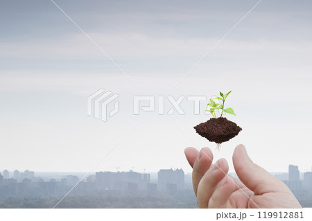 Connections between nature and the urban environment. 119912881