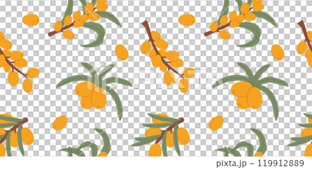 A seamless pattern featuring hand-drawn sea buckthorn branches with vibrant orange berries and green leaves on a white background. Ideal for natural product packaging, textiles, and botanical designs. A seamless pattern featuring hand-drawn sea buckthorn branches with vibrant orange berries and green leaves on a white background. Ideal for natural product packaging, textiles, and botanical designs. 119912889