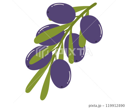 Fruit olive in cartoon hand drawn simple style. Editable variable color Fruit olive in cartoon hand drawn simple style. Editable variable color 119912890