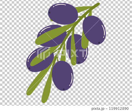 Fruit olive in cartoon hand drawn simple style. Editable variable color 119912890