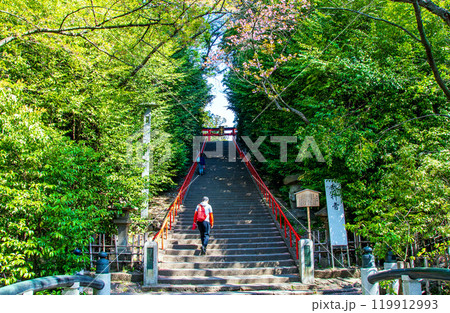 杜の都仙台 大崎八幡宮の石段 杜の都仙台 大崎八幡宮の石段 119912993