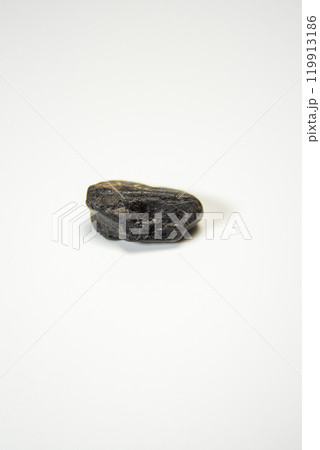 イグアノドンの化石 119913186