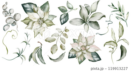 Watercolor clip art green leaves, flowers buds on isolated background. Hand drawn set Christmas silhouettes plants. Botanical elements twigs, eucalyptus, mistletoe, foliage for icon or logo. Watercolor clip art green leaves, flowers buds on isolated background. Hand drawn set Christmas silhouettes plants. Botanical elements twigs, eucalyptus, mistletoe, foliage for icon or logo. 119913227