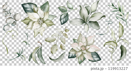 Watercolor clip art green leaves, flowers buds on isolated background. Hand drawn set Christmas silhouettes plants. Botanical elements twigs, eucalyptus, mistletoe, foliage for icon or logo. Watercolor clip art green leaves, flowers buds on isolated background. Hand drawn set Christmas silhouettes plants. Botanical elements twigs, eucalyptus, mistletoe, foliage for icon or logo. 119913227
