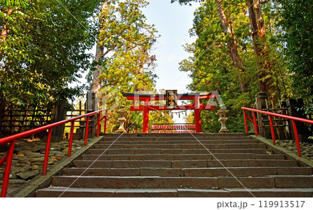杜の都仙台 大崎八幡宮 表参道 三之鳥居と大石段 杜の都仙台 大崎八幡宮 表参道 三之鳥居と大石段 119913517