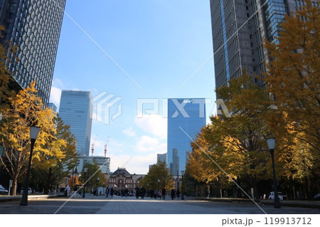 東京駅前のイチョウ並木 ginkgo trees in front of Tokyo station 東京駅前のイチョウ並木 ginkgo trees in front of Tokyo station 119913712