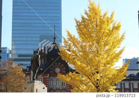 東京駅舎とイチョウの木 ginkgo tree in front of Tokyo station 東京駅舎とイチョウの木 ginkgo tree in front of Tokyo station 119913713