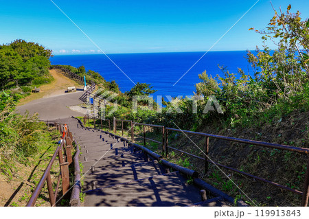 北海道　室蘭市　絵鞆半島　地球岬展望台への階段 119913843