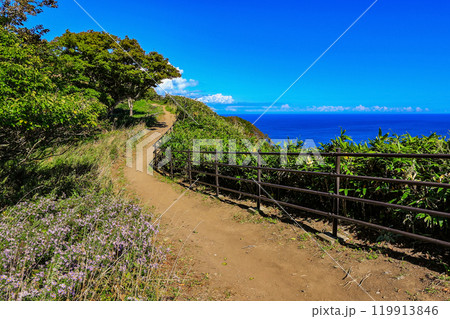 北海道　室蘭市　絵鞆半島　地球岬の遊歩道 119913846