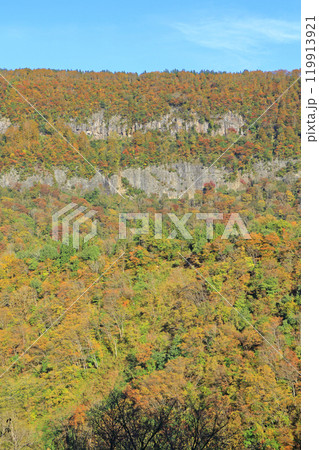 秋山郷の秋　屏風岩 119913921
