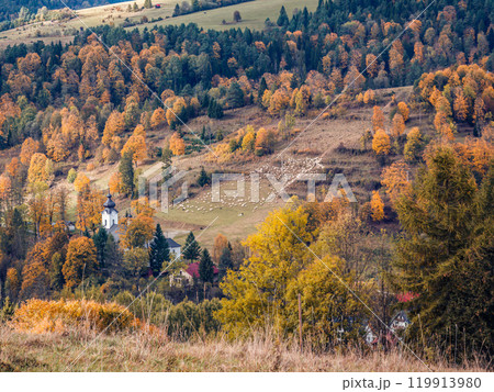 Scenic Autumn Landscape with Church and Shepherd's Sheep Scenic Autumn Landscape with Church and Shepherd's Sheep 119913980