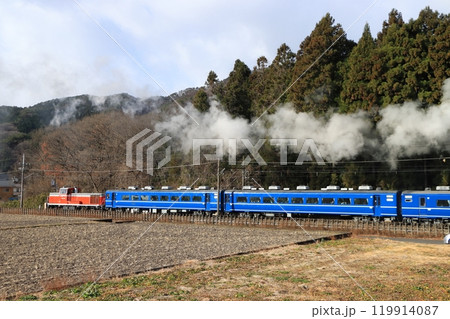冬の日光路を走るSL・DL大樹_2020/12/26撮影 冬の日光路を走るSL・DL大樹_2020/12/26撮影 119914087