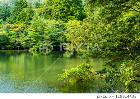 新緑の白雲の池【長崎県雲仙市】 119914438