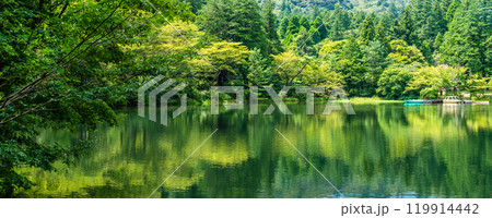 新緑の白雲の池 パノラマ【長崎県雲仙市】 新緑の白雲の池 パノラマ【長崎県雲仙市】 119914442