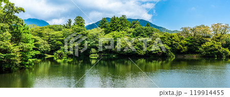 新緑の白雲の池　パノラマ【長崎県雲仙市】 119914455