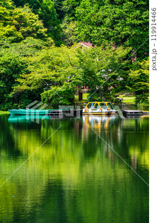 新緑の白雲の池【長崎県雲仙市】 119914466