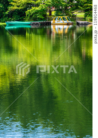 新緑の白雲の池【長崎県雲仙市】 119914468