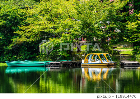 新緑の白雲の池【長崎県雲仙市】 119914470