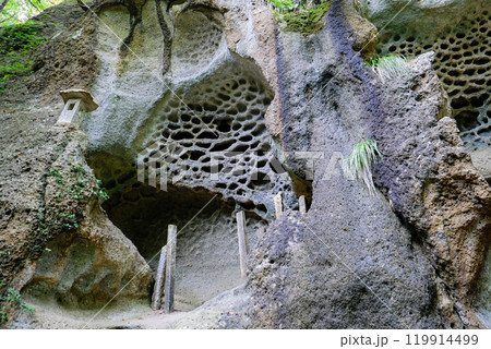 蜂の巣状の岩場 蜂の巣状の岩場 119914499
