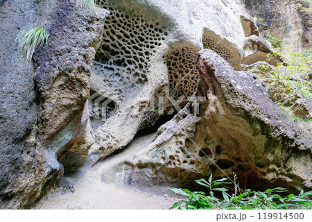 巨大な岩場 巨大な岩場 119914500