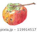 クレヨンで描いた柿 119914517